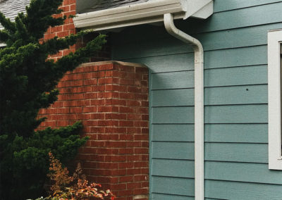 pro gutter cleaning service