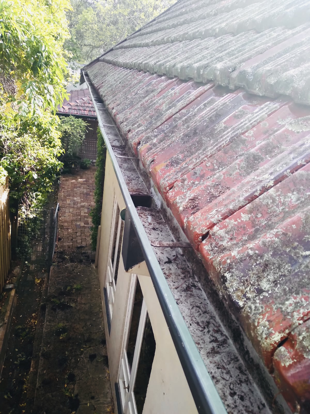 pro gutter cleaning hornsby