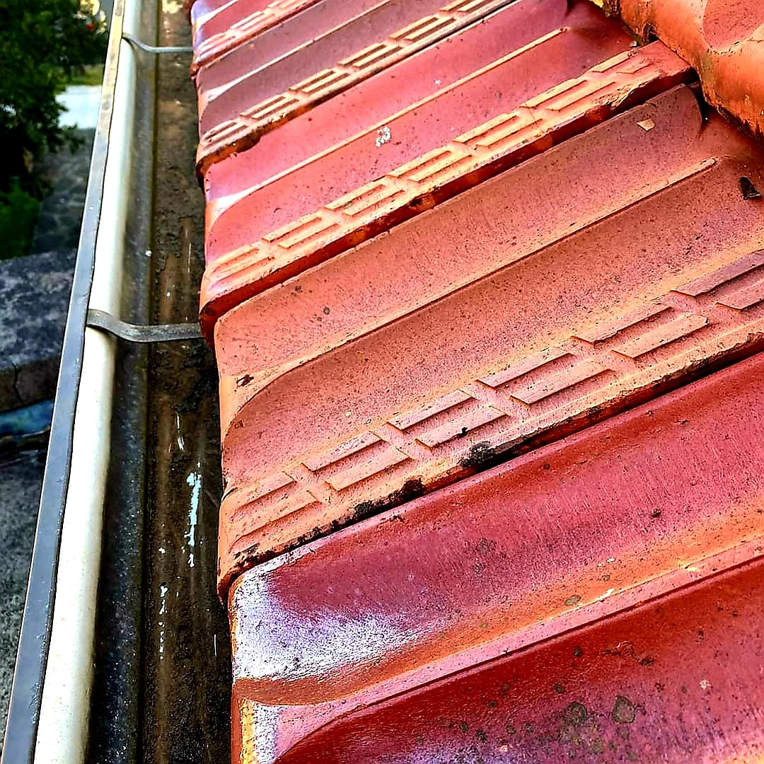 our roof gutter cleaning sydney